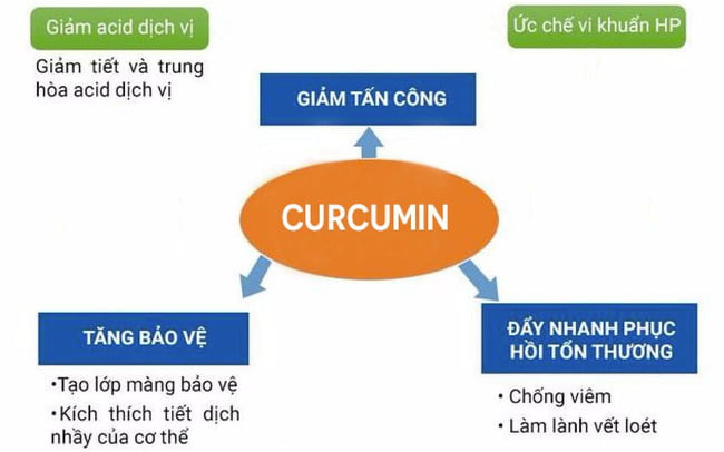 Curcumin có tác dụng bảo vệ dạ dày