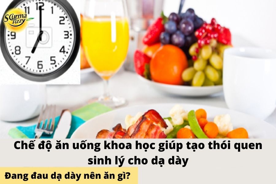 che-do-an-uong-khoa-hoc-giup-tao-thoi-quen-sinh-ly-cho-da-day