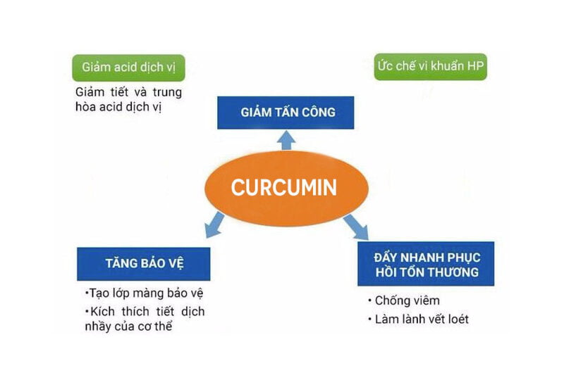 Curcumin tăng cường hệ miễn dịch