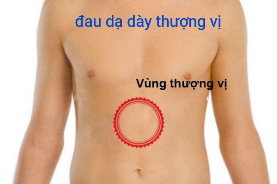 dau-da-day-thuong-vi
