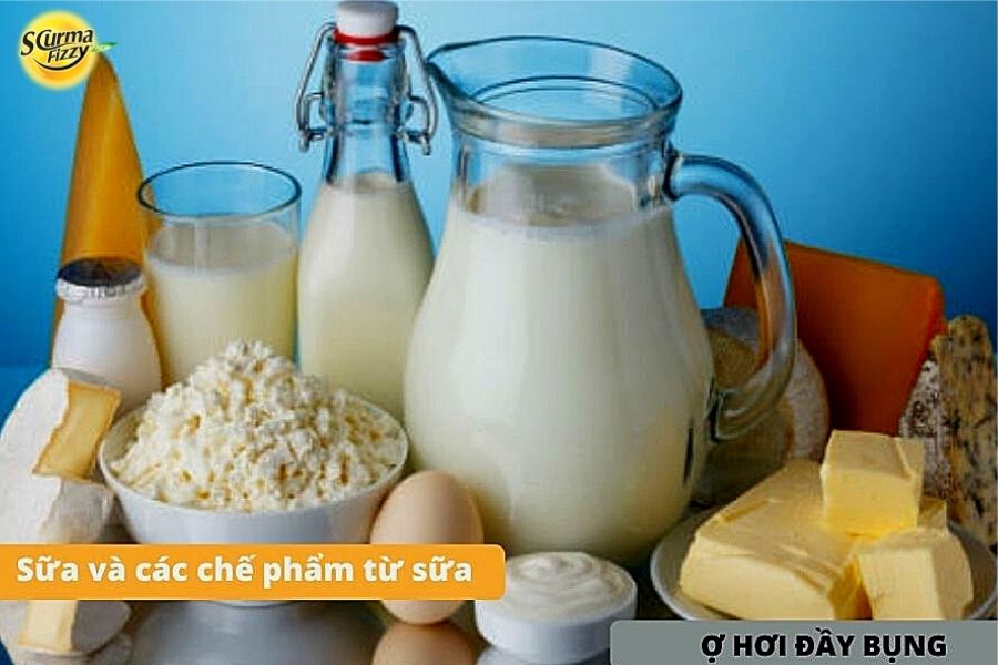 sữa và các chế phẩm từ sữa gây ợ hơi đầy bụng 