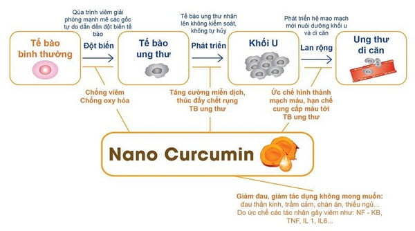tác dụng của tinh bột nghệ nano curcumin