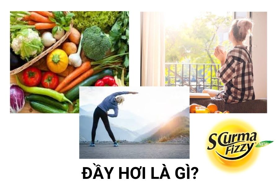day-hoi-la-gi4