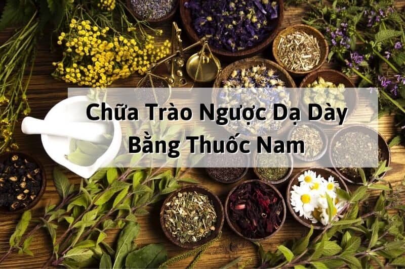 Chữa trào ngược dạ dày bằng thuốc Nam