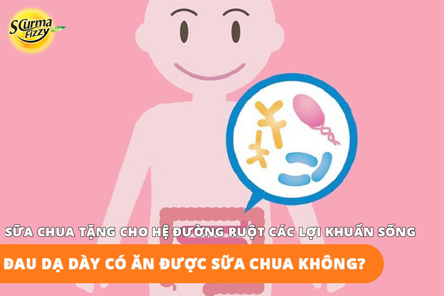dau-da-day-co-an-duoc-sua-chua-khong-sua-chua-tang-loi-khuan-song