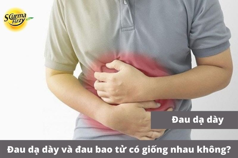 Dau-da-day-va-dau-bao-tu-co-giong-nhau-khong-anh-dai-dien
