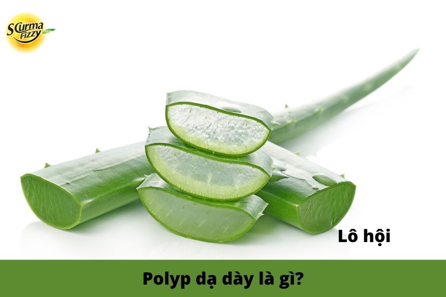 Polyp-da-day-la-gi-6