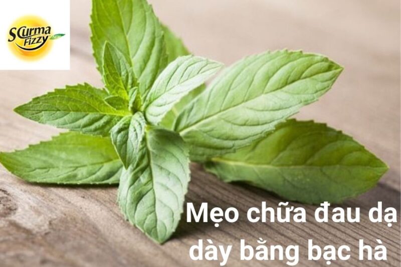 meo-chua-dau-da-day-12.jpg