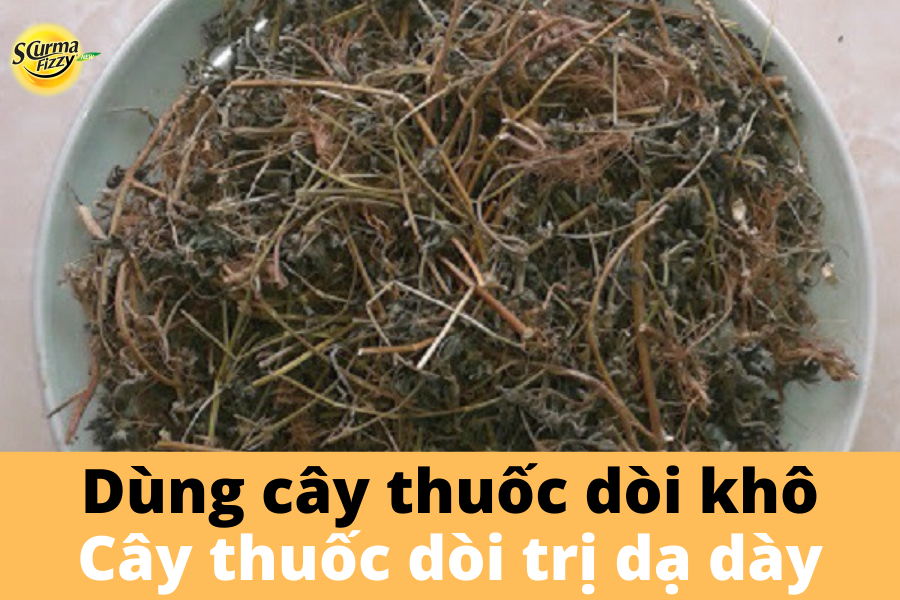Dùng lá khô cây