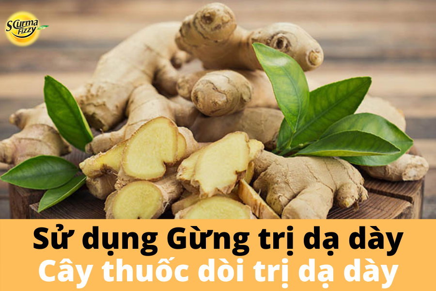 gung-tri-da-day