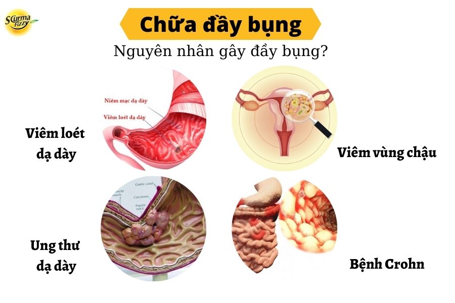nguyên nhân bệnh lý