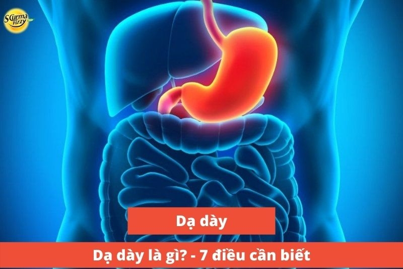 da-day-la-gi-7-dieu-can-biet-anh-dai-dien