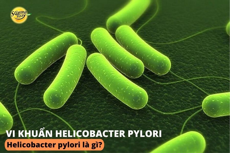 helicobacter-pylori-la-gi-1