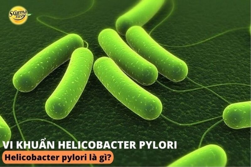 helicobacter-pylori-la-gi-7
