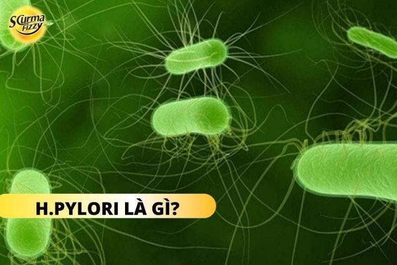 hpylori-la-gi-10