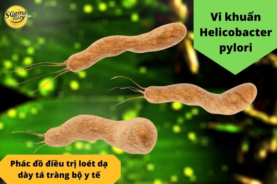 Vi khuẩn Helicobacter pylori gây tổn thương tế bào niêm mạc dạ dày