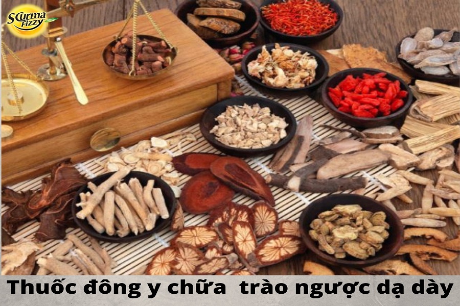 thuoc-dong-y-chua-trao-nguoc-da-day-3 (1)