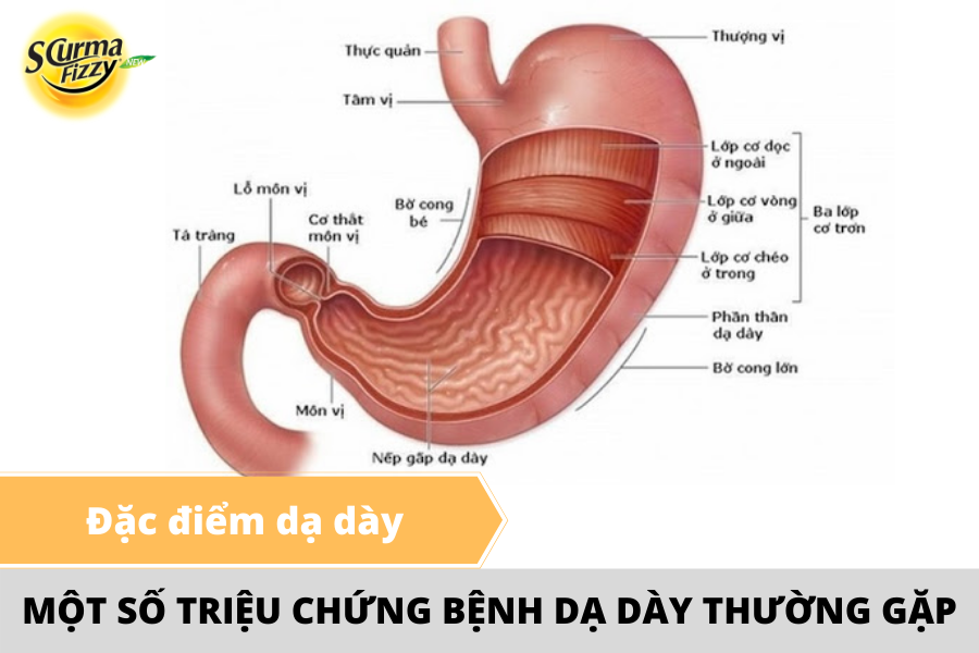 trieu-chung-benh-da-day-1