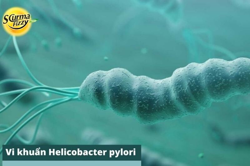 vi-khuan-helicobacter-pylori