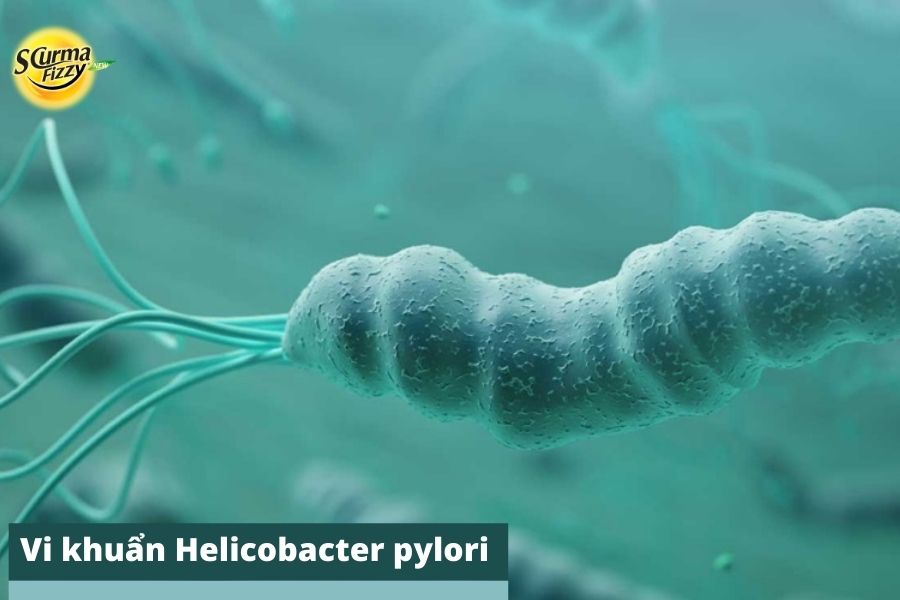 vi-khuan-helicobacter-pylori.