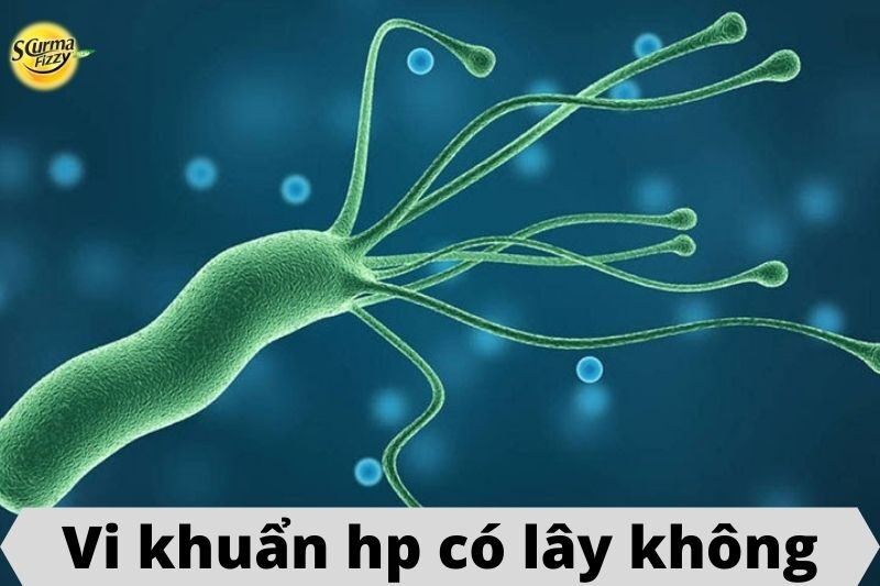 vi khuẩn hp có lây không