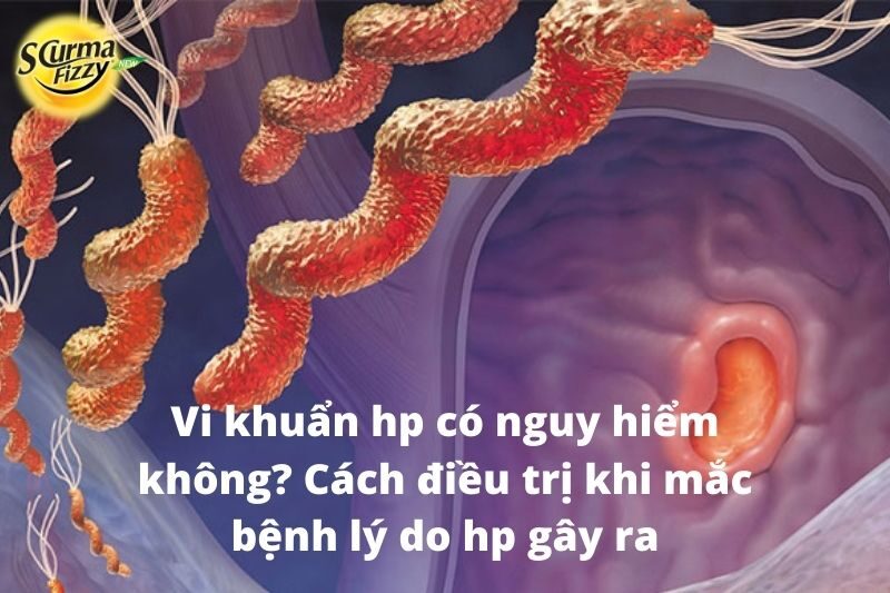 Vi khuẩn hp có nguy hiểm không Cách điều trị khi mắc bệnh lý do hp gây ra