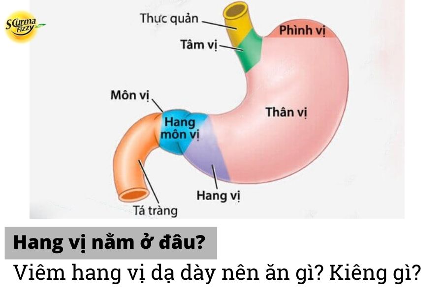 Viem-hang-vi-da-day-nen-an-gi-kieng-gi