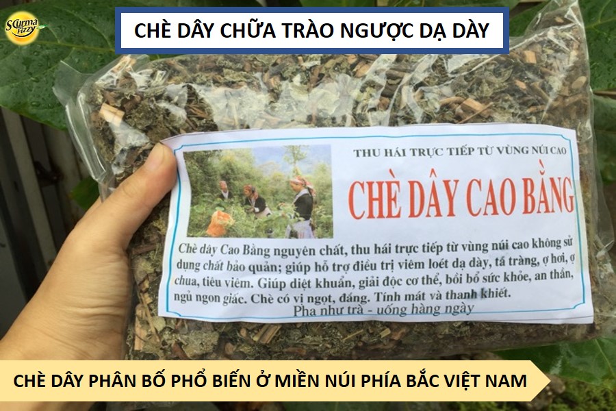 che-day-chua-trao-nguoc-da-day-2