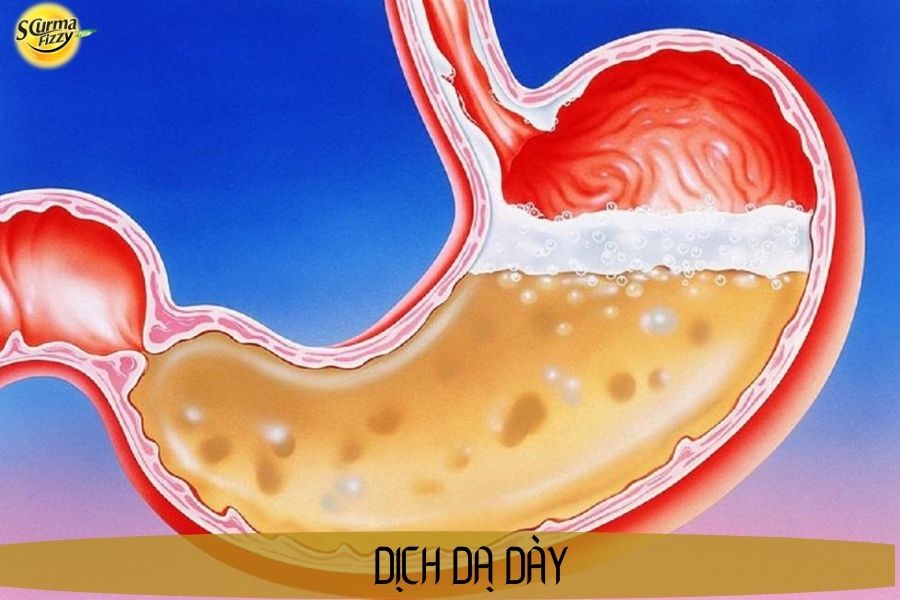 Dich-da-day-8