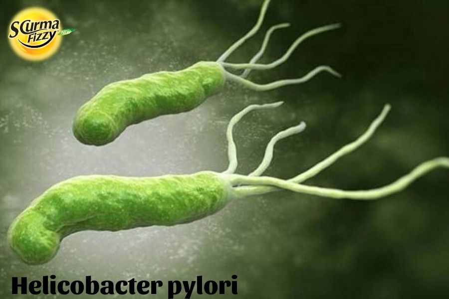 vi khuẩn Helicobacter pylori