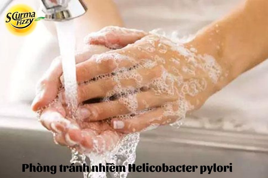 Phòng tránh lây nhiễm Helicobacter pylori