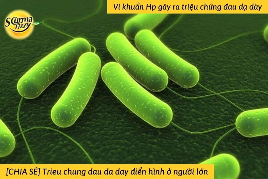 Vi khuẩn Hp gây ra trieu chung dau da day