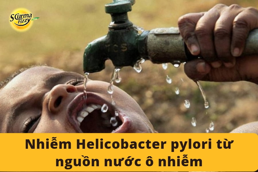 Helicobacter-4